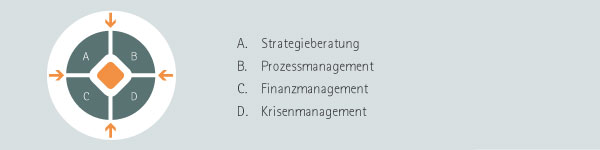 A. Strategieberatung B. Prozessmanagement C. Finanzmanagement D. Krisenmanagement